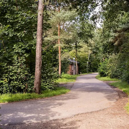 In Near Veluwe Forest * פוטן