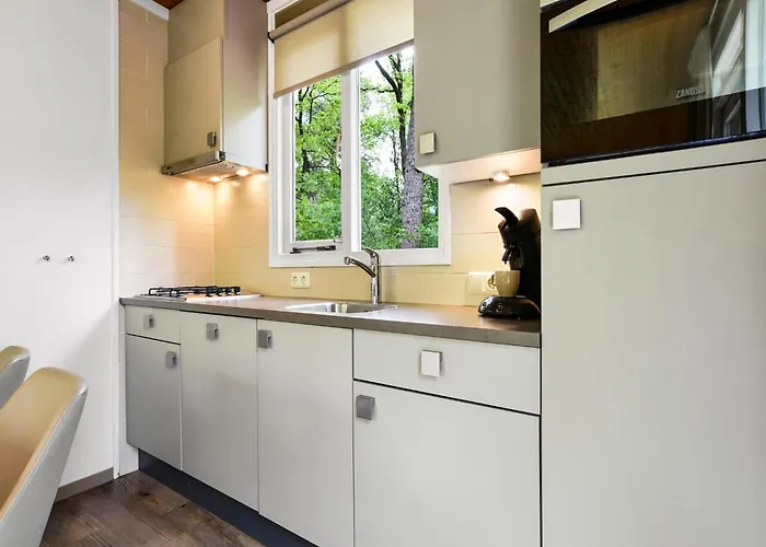 In Near Veluwe Forest