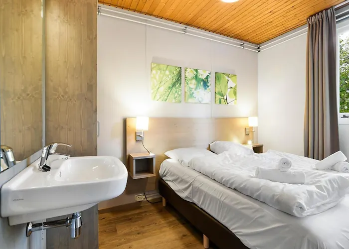 In Near Veluwe Forest